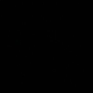 Meet your Posher, Kristine